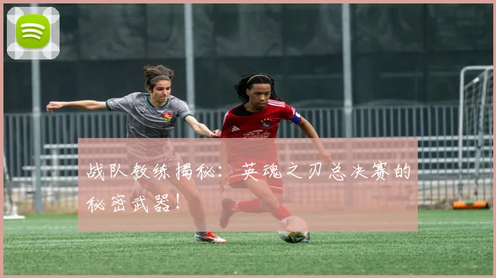 战队教练揭秘：英魂之刃总决赛的秘密武器！