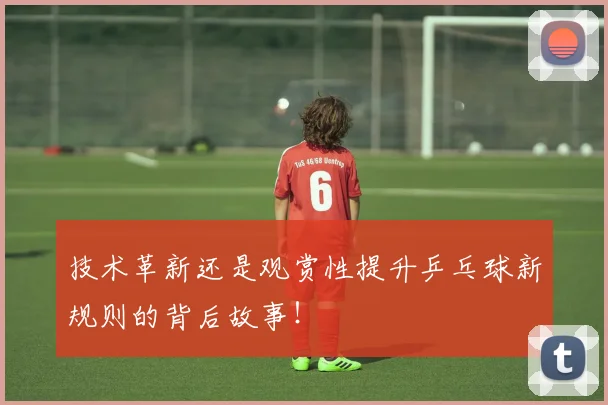 技术革新还是观赏性提升乒乓球新规则的背后故事！
