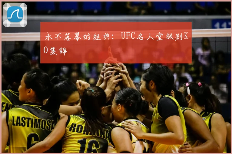 永不落幕的经典：UFC名人堂级别KO集锦