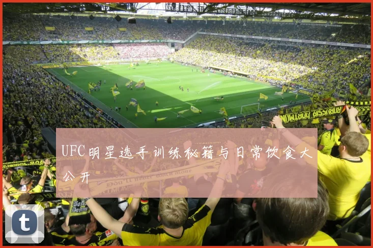 UFC明星选手训练秘籍与日常饮食大公开