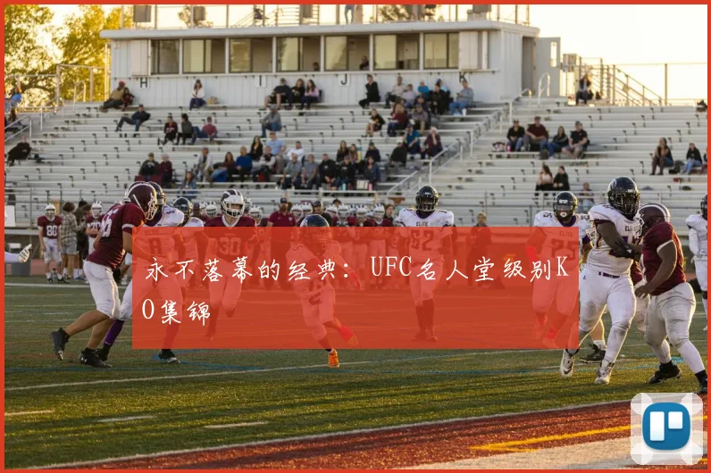 永不落幕的经典：UFC名人堂级别KO集锦