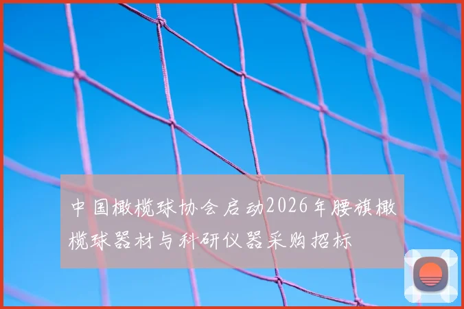 中国橄榄球协会启动2026年腰旗橄榄球器材与科研仪器采购招标