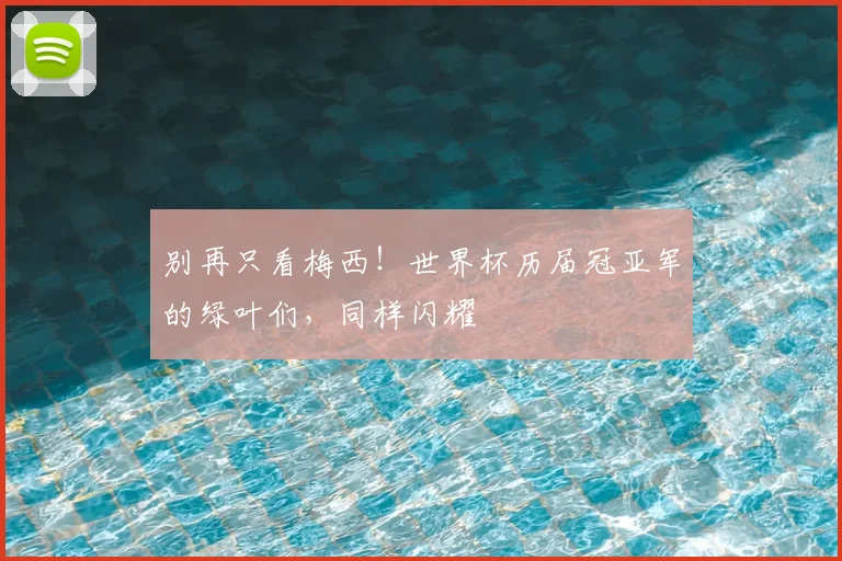 别再只看梅西！世界杯历届冠亚军的绿叶们，同样闪耀