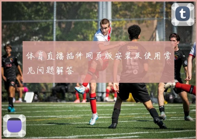体育直播插件网页版安装及使用常见问题解答