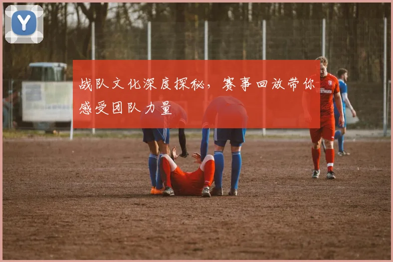 战队文化深度探秘，赛事回放带你感受团队力量