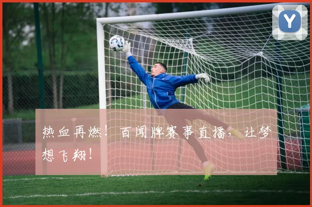 热血再燃！百闻牌赛事直播，让梦想飞翔！